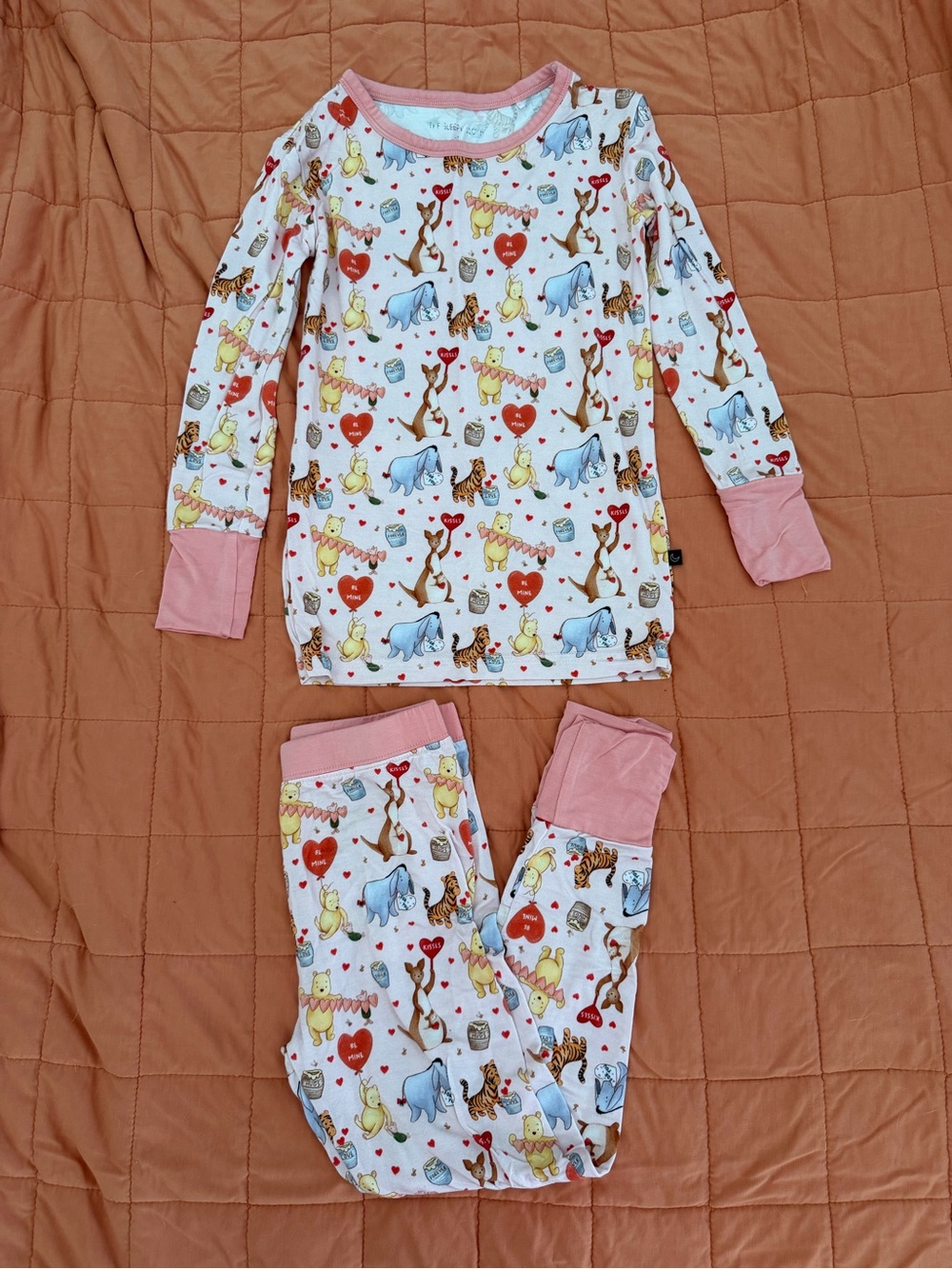 The Sleepy Sloth 100 Acres Of Kisses Winnie The Pooh Long Sleeve Set 4T GUC